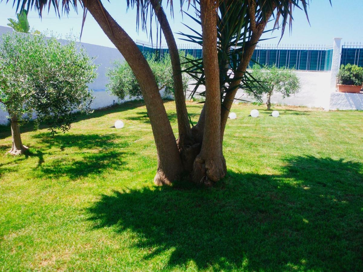 B&B Zagara Marsala Dış mekan fotoğraf