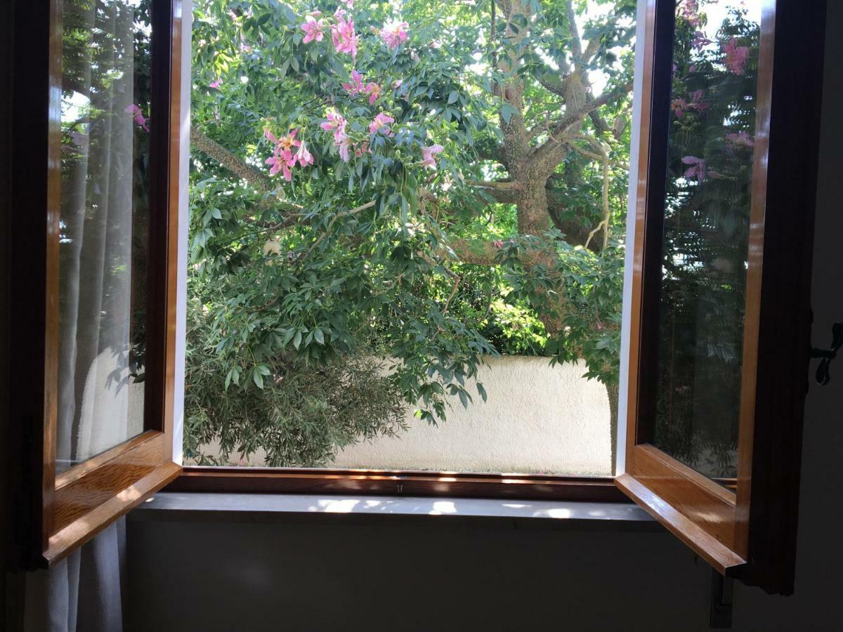 B&B Zagara Marsala Dış mekan fotoğraf
