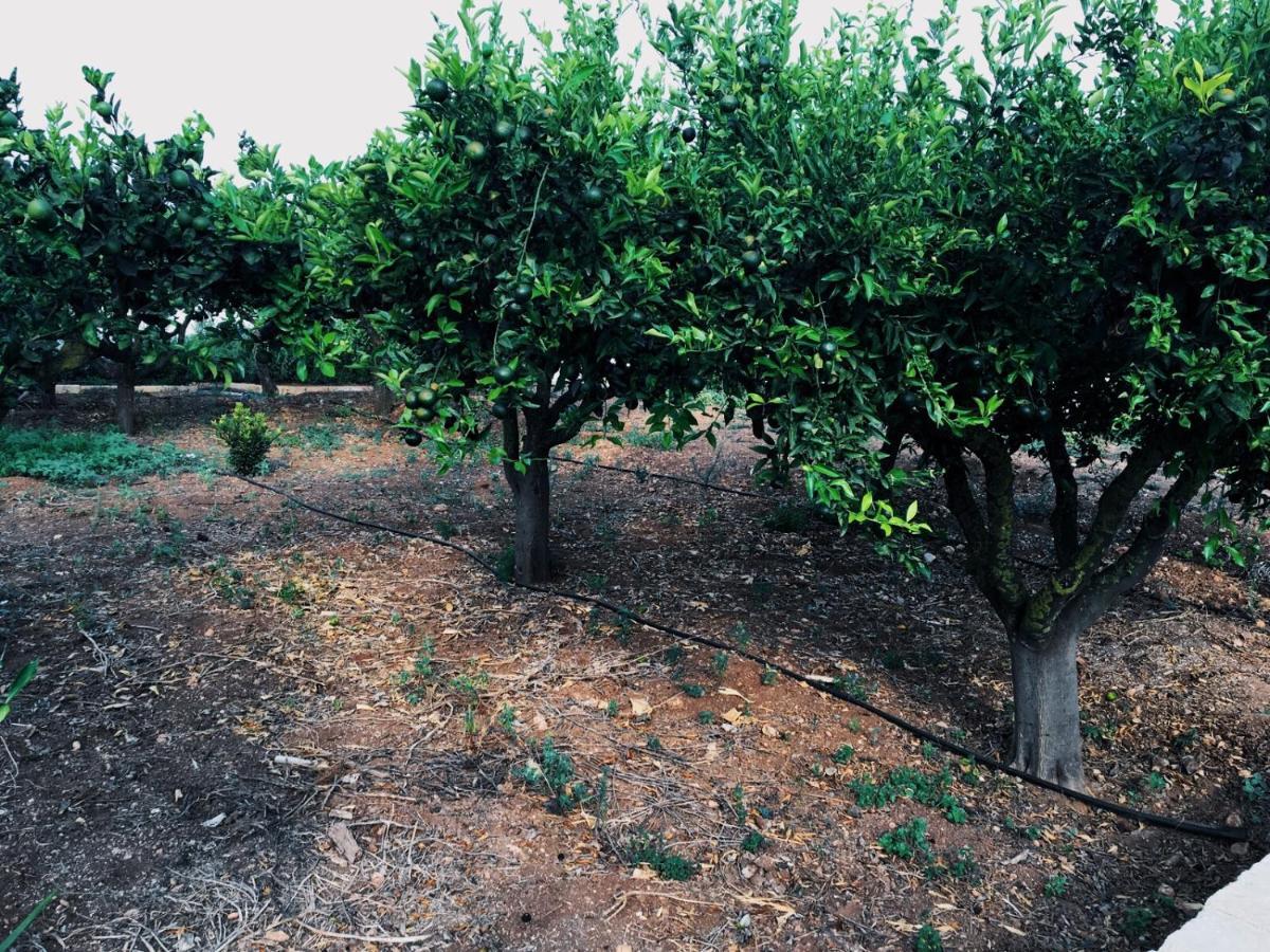 B&B Zagara Marsala Dış mekan fotoğraf